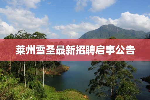 莱州雪圣最新招聘启事公告