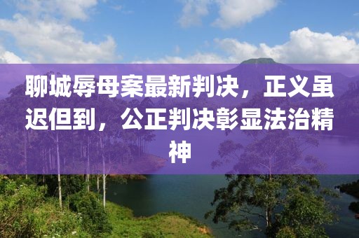 聊城辱母案最新判决，正义虽迟但到，公正判决彰显法治精神