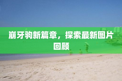 崩牙驹新篇章，探索最新图片回顾