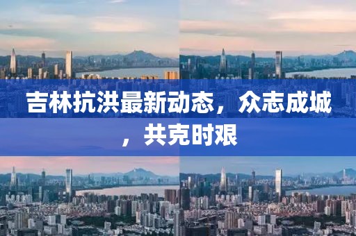 吉林抗洪最新动态，众志成城，共克时艰