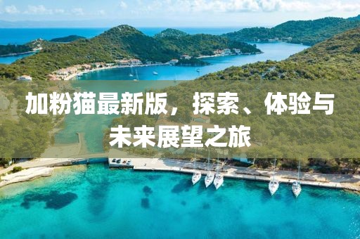 加粉猫最新版，探索、体验与未来展望之旅