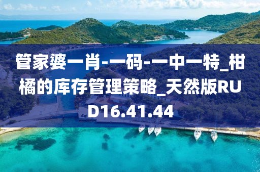 管家婆一肖-一码-一中一特_柑橘的库存管理策略_天然版RUD16.41.44