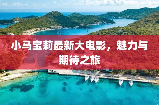 小马宝莉最新大电影，魅力与期待之旅
