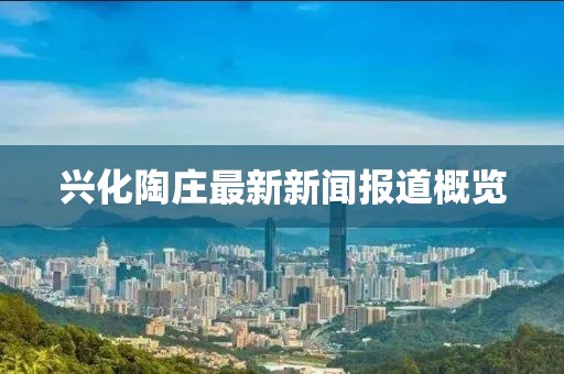 兴化陶庄最新新闻报道概览