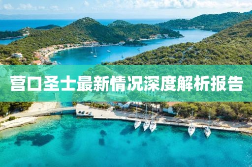 营口圣士最新情况深度解析报告