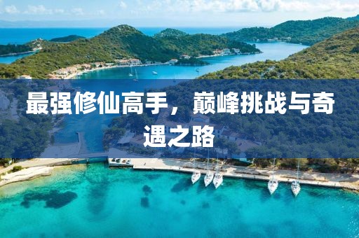 最强修仙高手，巅峰挑战与奇遇之路
