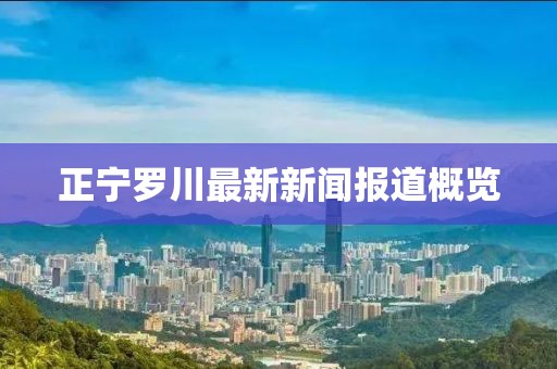 正宁罗川最新新闻报道概览