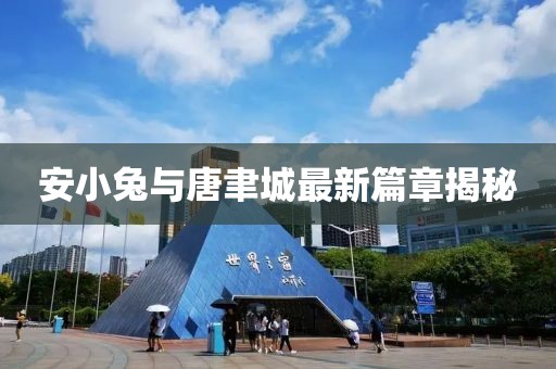 安小兔与唐聿城最新篇章揭秘