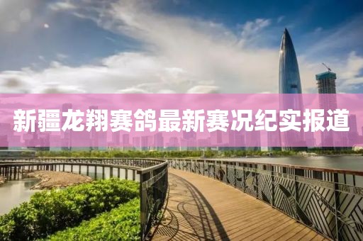新疆龙翔赛鸽最新赛况纪实报道