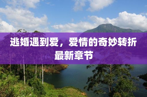 逃婚遇到爱，爱情的奇妙转折最新章节