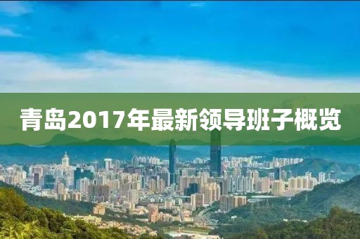 青岛2017年最新领导班子概览