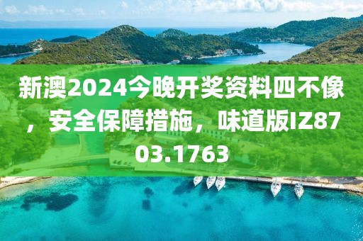 新澳2024今晚开奖资料四不像，安全保障措施，味道版IZ8703.1763