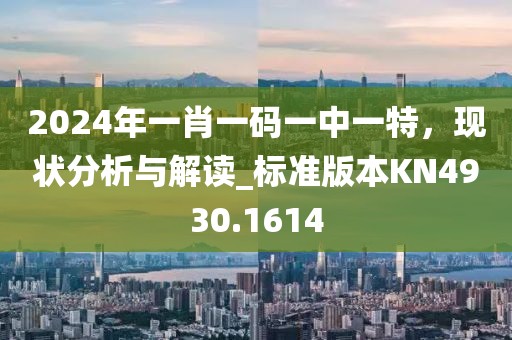 2024年一肖一码一中一特，现状分析与解读_标准版本KN4930.1614