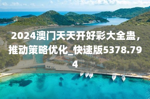 2024澳门天天开好彩大全蛊，推动策略优化_快速版5378.794
