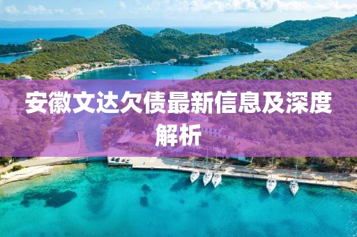 安徽文达欠债最新信息及深度解析