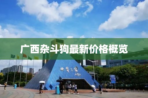 广西杂斗狗最新价格概览
