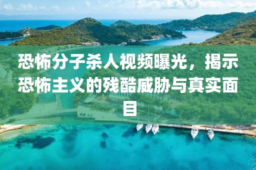 恐怖分子杀人视频曝光，揭示恐怖主义的残酷威胁与真实面目