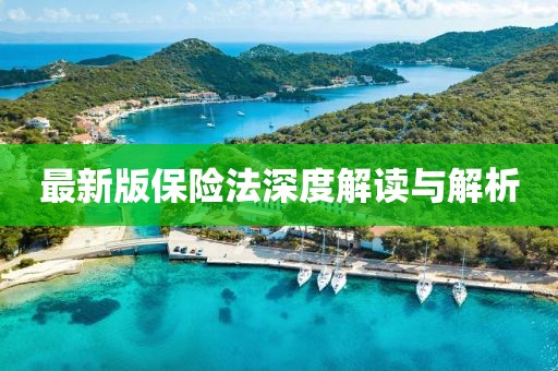 最新版保险法深度解读与解析