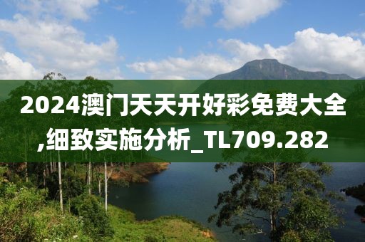 2024澳门天天开好彩免费大全,细致实施分析_TL709.282
