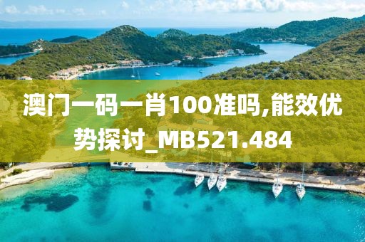 澳门一码一肖100准吗,能效优势探讨_MB521.484