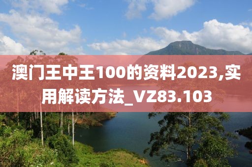 澳门王中王100的资料2023,实用解读方法_VZ83.103