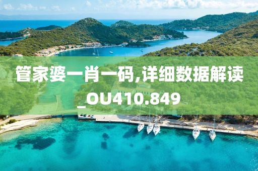 管家婆一肖一码,详细数据解读_OU410.849