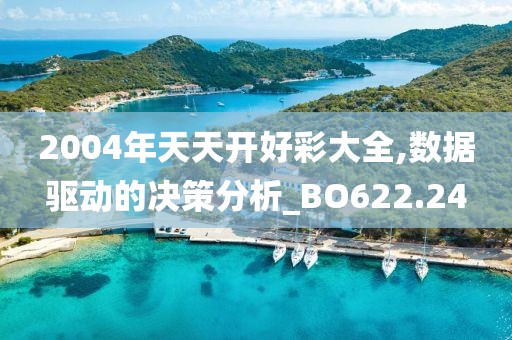 2004年天天开好彩大全,数据驱动的决策分析_BO622.24