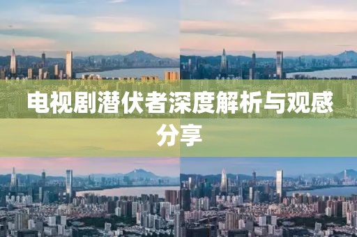 电视剧潜伏者深度解析与观感分享