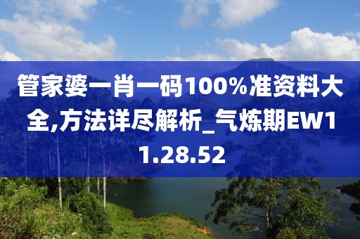 管家婆一肖一码100%准资料大全,方法详尽解析_气炼期EW11.28.52