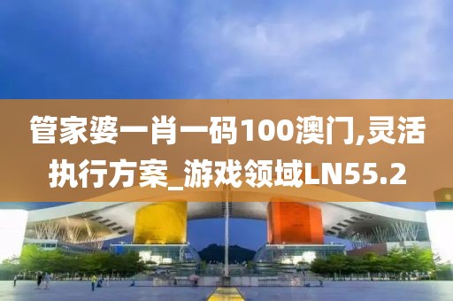 管家婆一肖一码100澳门,灵活执行方案_游戏领域LN55.2