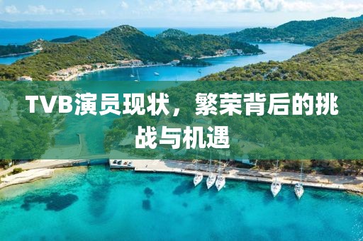 TVB演员现状，繁荣背后的挑战与机遇