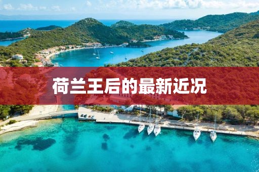 荷兰王后的最新近况