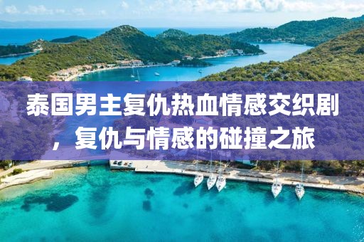 泰国男主复仇热血情感交织剧，复仇与情感的碰撞之旅
