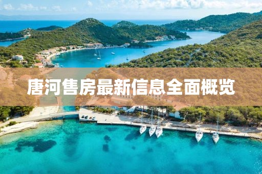 唐河售房最新信息全面概览