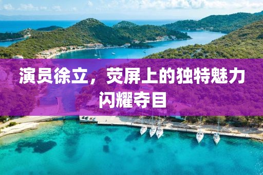 演员徐立，荧屏上的独特魅力闪耀夺目