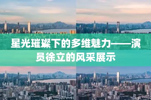 星光璀璨下的多维魅力——演员徐立的风采展示
