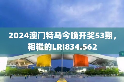 2024澳门特马今晚开奖53期，粗糙的LRI834.562