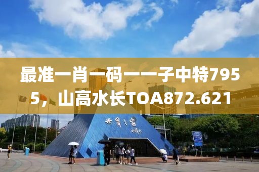 最准一肖一码一一子中特7955，山高水长TOA872.621