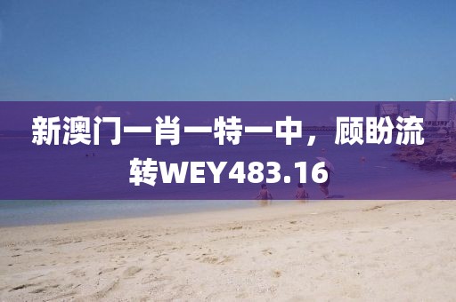 新澳门一肖一特一中，顾盼流转WEY483.16