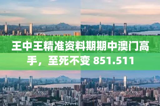 王中王精准资料期期中澳门高手，至死不变 851.511