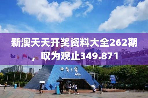 新澳天天开奖资料大全262期，叹为观止349.871