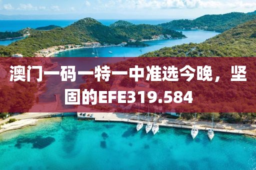 澳门一码一特一中准选今晚，坚固的EFE319.584