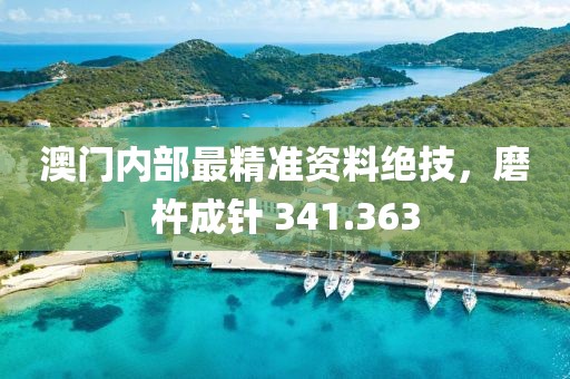 澳门内部最精准资料绝技，磨杵成针 341.363