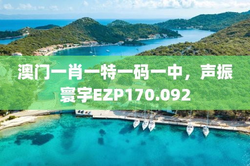 澳门一肖一特一码一中，声振寰宇EZP170.092