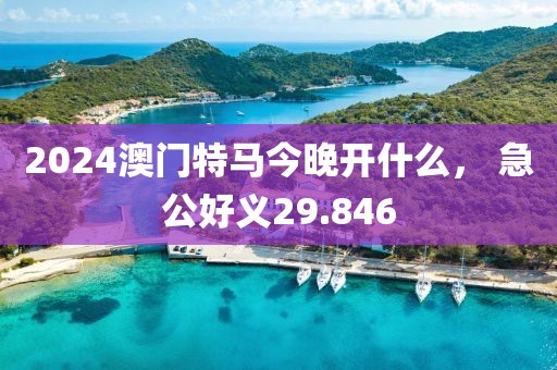 2024澳门特马今晚开什么， 急公好义29.846