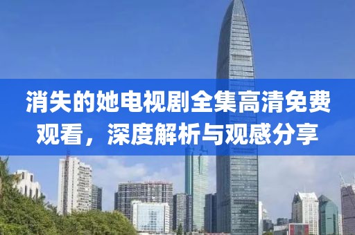 消失的她电视剧全集高清免费观看，深度解析与观感分享