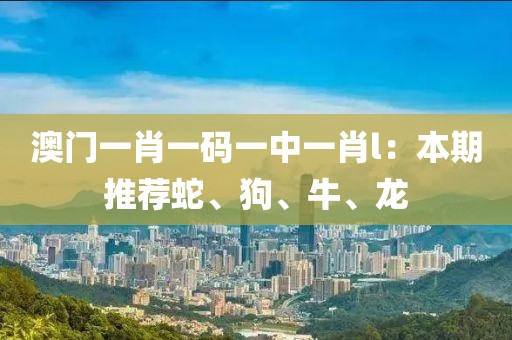 澳门一肖一码一中一肖l：本期推荐蛇、狗、牛、龙