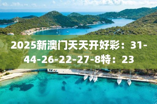 2025新澳门天天开好彩：31-44-26-22-27-8特：23