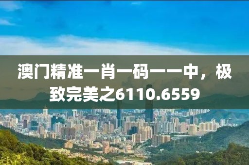 澳门精准一肖一码一一中，极致完美之6110.6559
