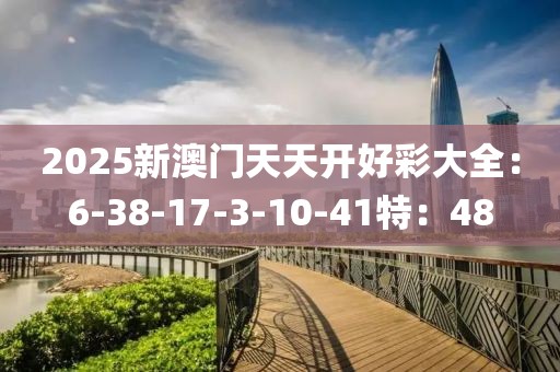 2025新澳门天天开好彩大全：6-38-17-3-10-41特：48